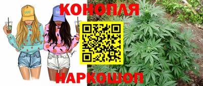 Альфа ПВП Обь