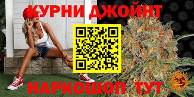 Альфа ПВП Обь