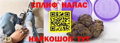 Альфа ПВП Обь
