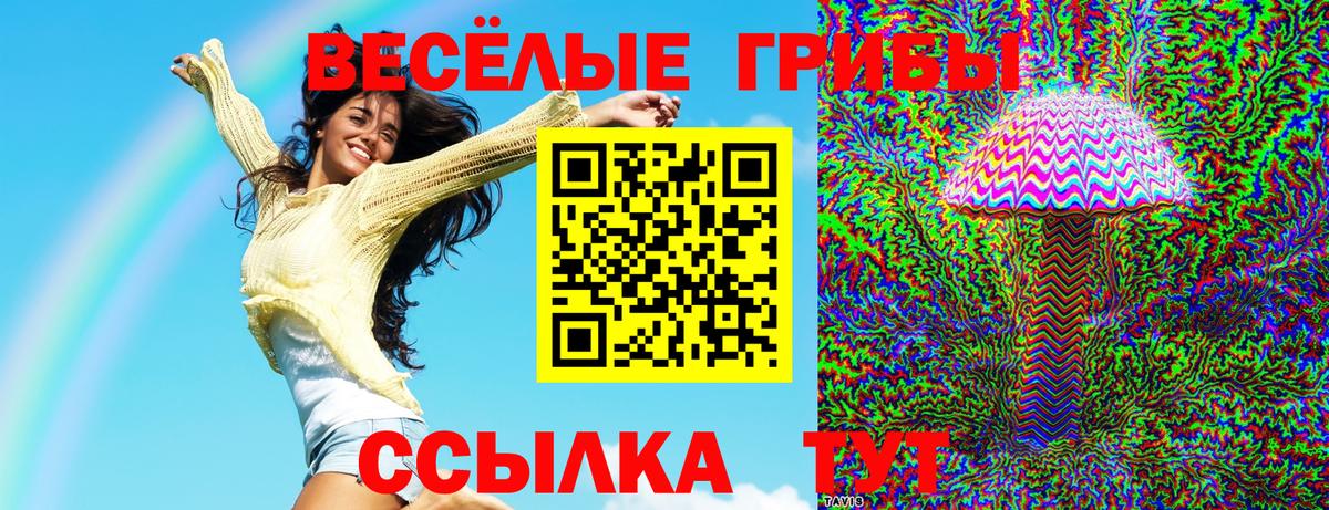Псилоцибиновые грибы прущие грибы Архангельск