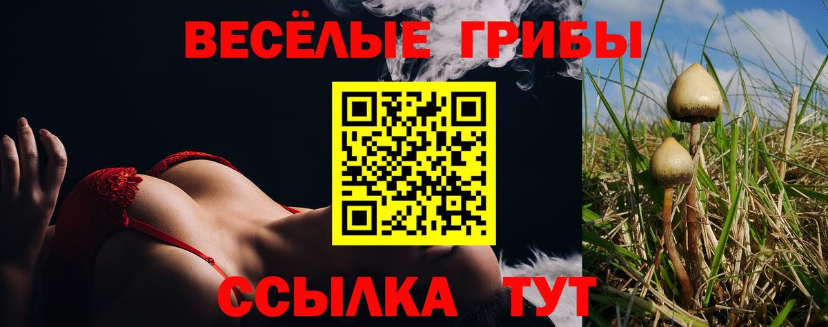 Псилоцибиновые грибы мухоморы  цена   Вход с VPN  Архангельск  Псилоцибиновые грибы ЛСД 